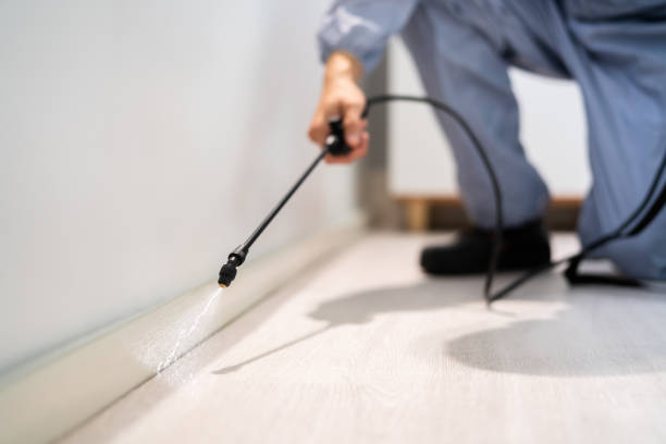 Rodent Entry Point Assessment in Soda Springs