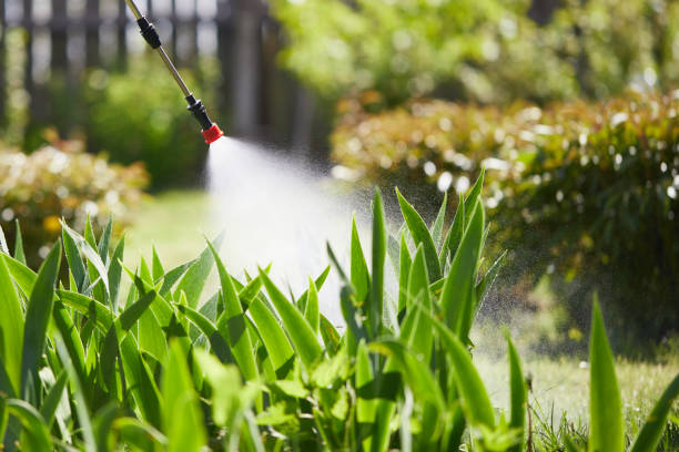 Tamper-Resistant Bait Stations for Rodents in Soda Springs