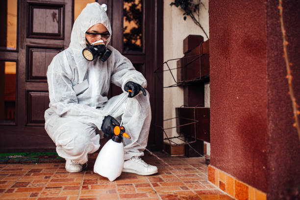 Attic and Crawl Space Rodent Treatment in Soda Springs