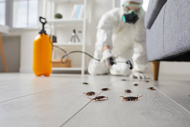 Commercial Rodent Management in Soda Springs